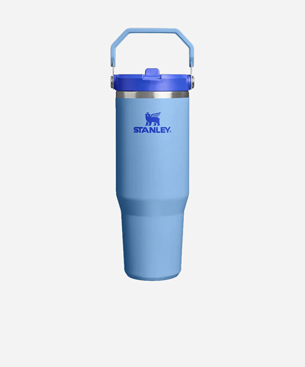 Stanley IceFlow Flip Straw 2.0 Tumbler 0.89 LT