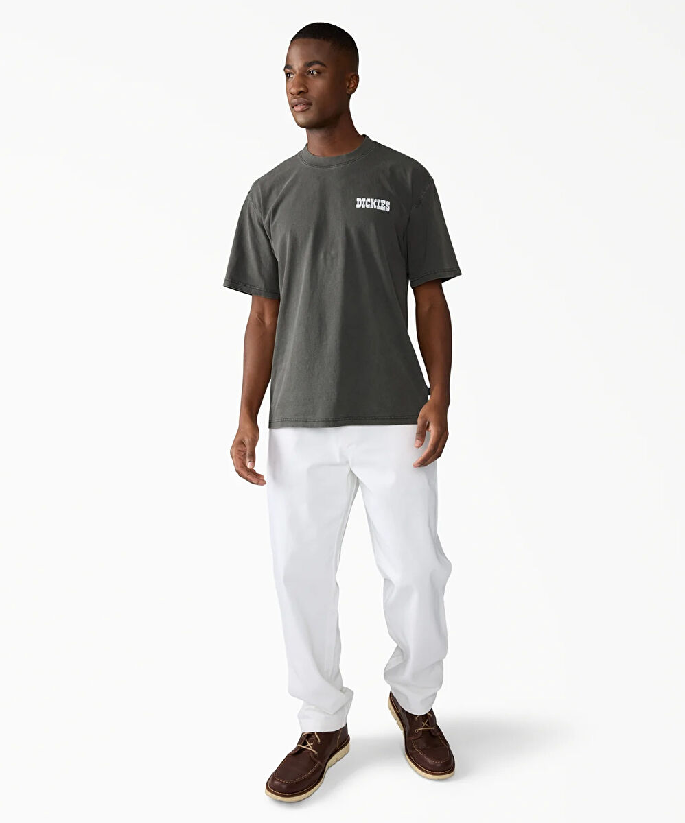 Dickies Wellsville Baggy Tapered Twill Pant