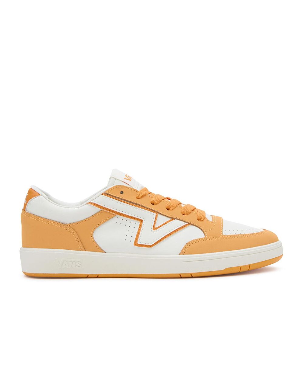 Vans Lowland Cc